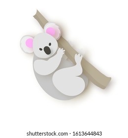 Young koala. Australian bear. Eucalyptus or gum tree.