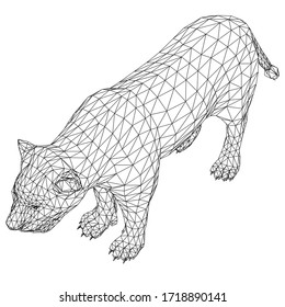 Young lion lines illustration. Abstract vector lion on the white background
