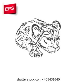 young lion logo, vector  lionet, isolated lion icon