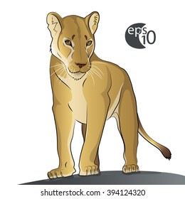 Young lioness. Color vector image isolated on a white background