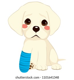 Young little sad dog sitting with broken leg and blue bandage