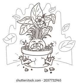 Young magical mandrake with a flower broke the pot and screams. Coloring page