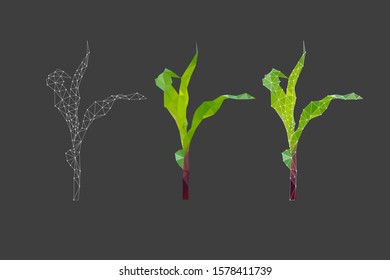 young maize low poly style illustration vector collection isolated on black background