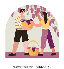 Young male holding basket with grapes and helping lady. Female standing near grape tree and picking fruit. Home natural wine production concept. Flat vector illustration in purple and yellow colors