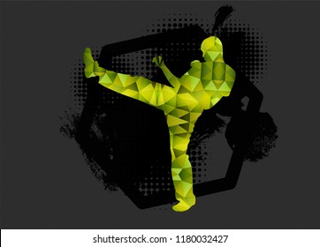 Young male karate warrior. Healthy lifestyle.