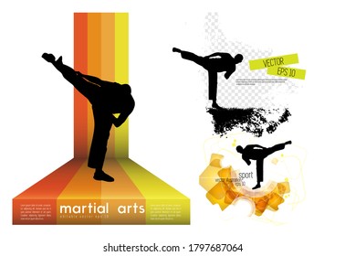 Young male karate warrior. Healthy lifestyle. Martial arts. Vector