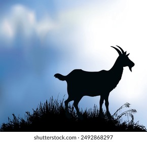 Young male sheep lamb ram buck beast stand hunt eat lawn food white even sky scenic view Old rustic zoo dry park desert hill fauna lost lone fawn roe stag pet wool scene art draw sin sign icon concept