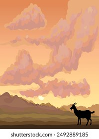 Young male sheep lamb ram buck beast stand hunt eat lawn food even cloud morn sky scenic view. Old rustic rural dry park desert hill land fauna lost lone fawn roe stag pet scene art draw sign concept