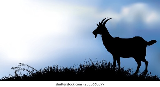 Young male sheep lamb ram buck beast stand hunt eat lawn food white even sky scenic view Old rustic zoo dry park desert hill fauna lost lone fawn roe stag pet wool scene art draw sin sign icon concept