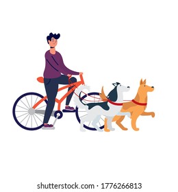 young man in bicycle with dogs vector illustration design