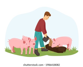 A young man or boy farmer feeds the pigs. The guy takes care of pigs, piglets. A farmer stands on a green lawn with pigs. Vector illustration in flat style