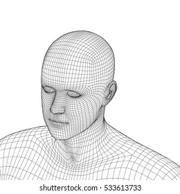 Young man face portrait. 3d wireframe head vector illustration
