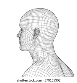 Young Man Face Portrait. 3d Wireframe Head Vector Illustration