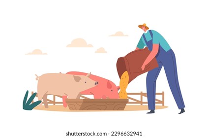 Young Man Feeding Pigs Putting Grain in Trough. Male Farmer Character at Work Process with Domestic Animals at Farm