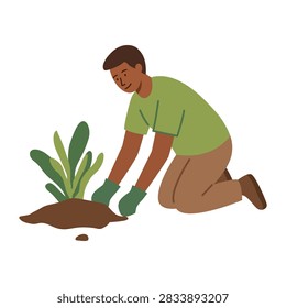 Young man kneeling down tending to young green vegetable plant sprout flat vector