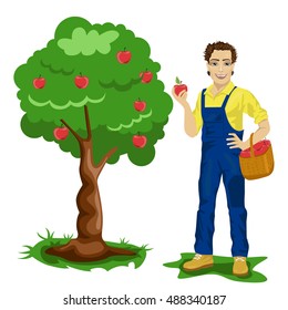 Young man picking apples in an orchard