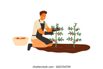 como cultivar una planta de clipart