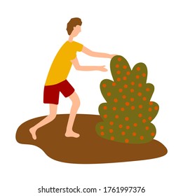 young man picks berries from a small bush. Summer and autumn harvest. Vector illustration in a flat style