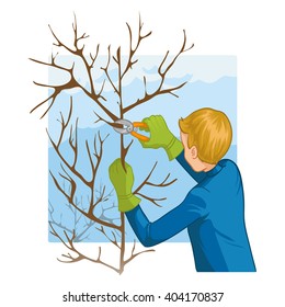Young man trimming a tree with garden clippers, vector image, eps10