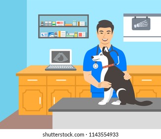 Young man veterinarian doctor holds husky dog on examination table in vet clinic. Vector cartoon illustration. Pets healthcare background. Domestic animals treatment concept. Veterinary consultation