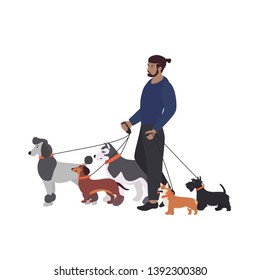 Young man walking with a dogs different breeds: terrier, poodle, dachshund, husky, corgi. Dog walking. Vector Illustration can use for logo, template, baner