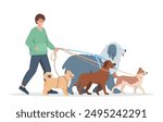 Young man walking with dogs on leash. Dog walker character. Pet owner or volunteer, pet care concept. Vector flat illustration isolated on white background.