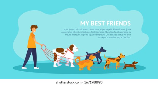 Young man walking his five dogs. A variety of dog breeds. Banner with example text on blue background. Vector male character with pets in cartoon style.