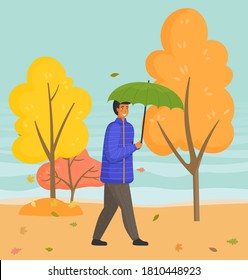 Young man walks in autumn park or forest. Guy wears blue jacket carries green umbrella. Fall landscape, yellow trees, leaves, rain, wind weather. Yellow landscape. Spend time alone. Flat image