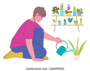 A young man waters a potted plant from a small watering can against a shelf with other potted cacti and flowers. Vector cartoon character illustration