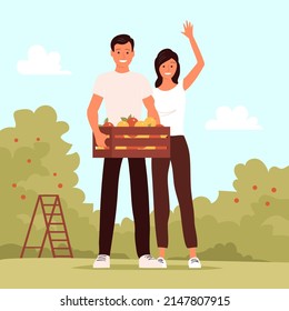 A young man and woman stands with a box of fresh apples. Work in the apple orchard. Seasonal harvest. Ripe healthy fruits. Flat vector illustration