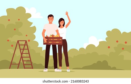 A young man and woman stands with a box of fresh apples. Work in the apple orchard. Seasonal harvest. Ripe healthy fruits. Flat vector illustration