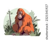 young orangutan eating over white