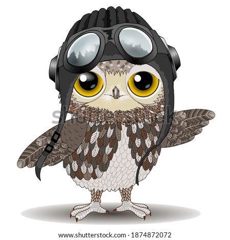 Young owl, cute eagle-owl chick playing a pilot, preparing for the first flight, wearing a helmet, headphones and aviator goggles, balancing, with forest reflection in sunglasses Stock photo © 