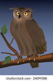 young owl on a tree