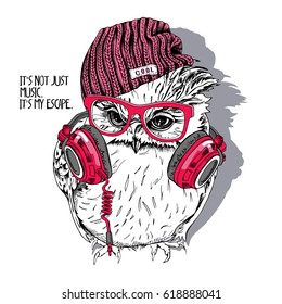 Young Owl in a red glasses and in a hipster knitted hat with Headphones on the neck. Vector illustration.