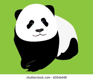 young panda on a light green background