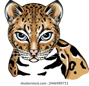 Young panther head illustration,Frontal View