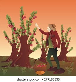 Young peasant leisurely harvesting apples while listening to music