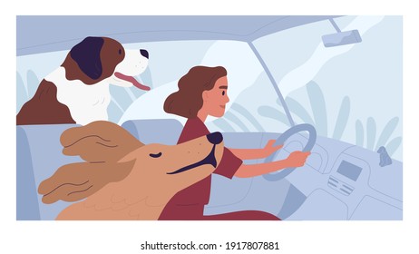 Young person driving car with happy dogs. Concept of pet taxi service. Side view of woman driver traveling with animals. Colored flat cartoon vector illustration of road trip.