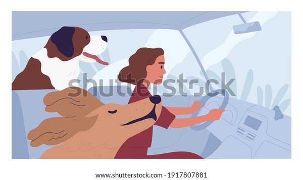 Young person\
driving car with happy dogs. Concept of pet taxi service. Side view\
of woman driver traveling with animals. Colored flat cartoon vector\
illustration of road\
trip.