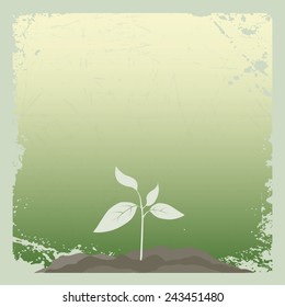 Young plant