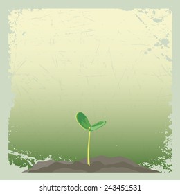 Young plant