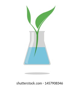 Young plant in a beaker.  