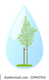 Young plant birch in water drop vector background ecology concept