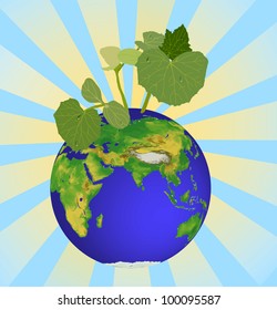 young plant and earth on blue background