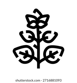 Planta joven con un tallo central con varias hojas extendidas y una parte superior en ciernes, que ilustra el crecimiento, la naturaleza y los Elementos orgánicos como un simple ícono de arte lineal
