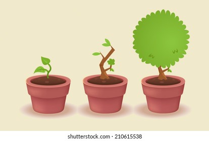 Young plant growing