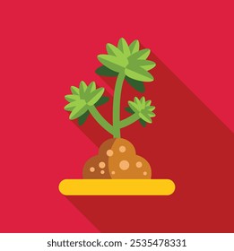 Planta jovem que cresce a partir do plano de desenho do solo ilustração com sombra longa no fundo vermelho
