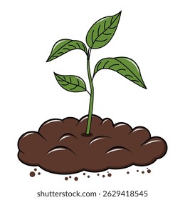 A Young Plant Growing Out of the Earth, full of compost 