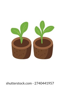 young plant growing in peat pod gardening artwork